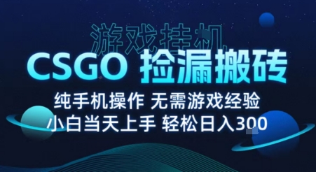 8月最新游戏搬砖，CSGO纯挂G，不需要玩游戏，实现真挂G，月入1W+【揭秘】-迈巴赫之家