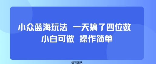 小众蓝海玩法 一天搞了四位数 小白可做 操作简单-迈巴赫之家
